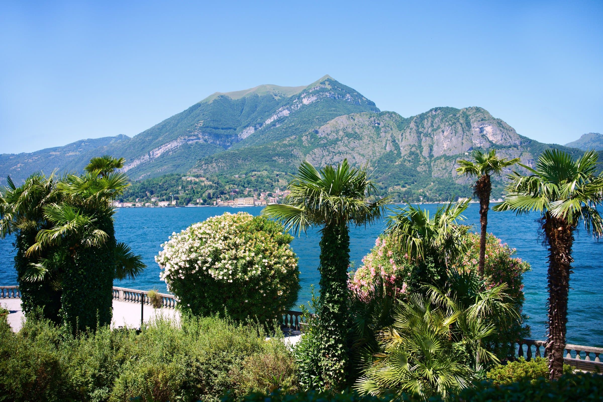 Palms and flowering gardens above Lake Como, the mountains across the water